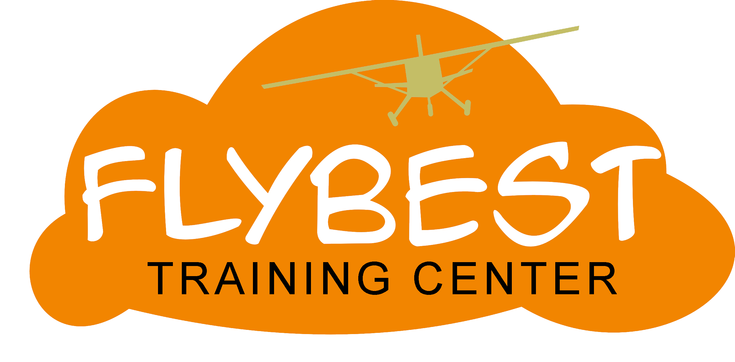 FlyBest Training Center Logo